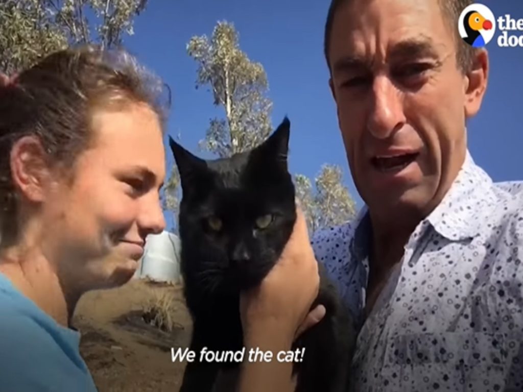 男子找回愛貓喜極而泣（圖／翻攝自FB@The Dodo）