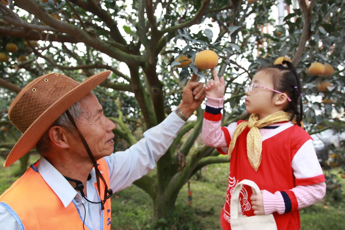 ▲雲科農場的主人陳萬生老師，生動地為孩子們介紹茂谷柑的栽培環境及歷史。（圖／記者洪佳伶攝 ,2020.01.02）
