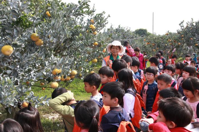 食農教育從小學　斗六學童參觀茂谷園