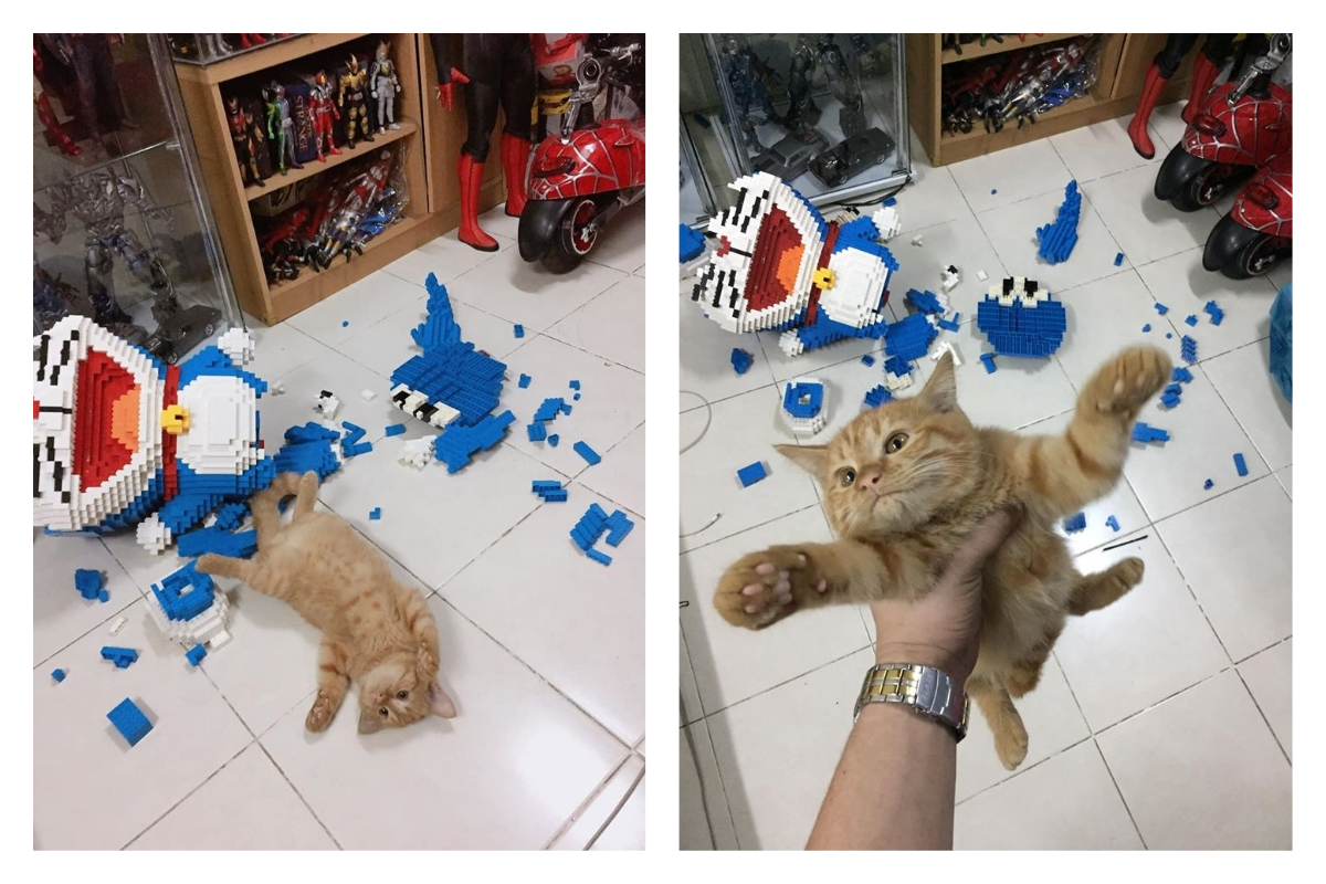 ▲（圖／翻攝自ภูมิมัย พรทอง的臉書）