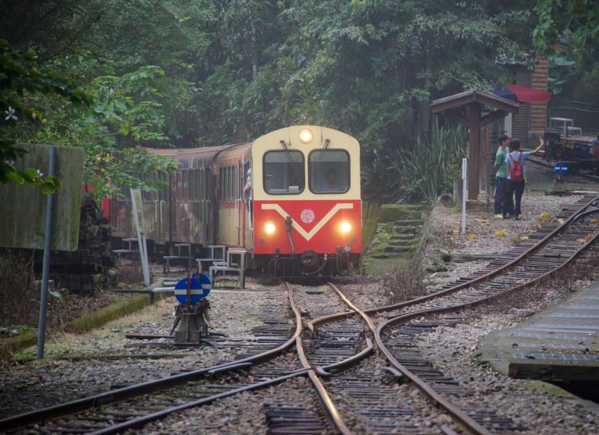 ▲阿里山林鐵春季主題列車開跑，圖為樟腦寮站的折返式路線。（圖/林鐵及文資處提供，2020.01.03）