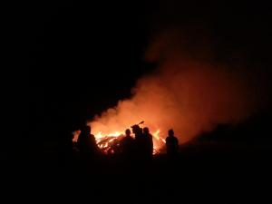 春雨偏少！6縣市森林火災風險升高　部分達警告至危險等級
