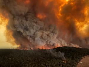 澳洲叢林大火難滅　當局要未撤離民眾設法避難
