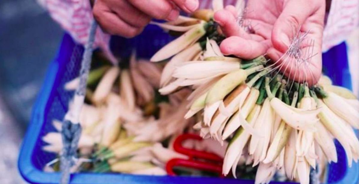 ▲閣揆蘇貞昌日前宣布擴大紓困對象，意外造成玉蘭花價格大漲。（示意圖／翻攝爆怨公社）