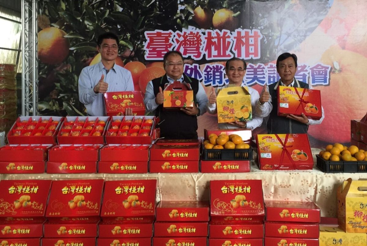 ▲雲林縣嘉東合作農場柑桔啟航外銷北美。（圖／記者蘇榮泉攝，2020.01.07）