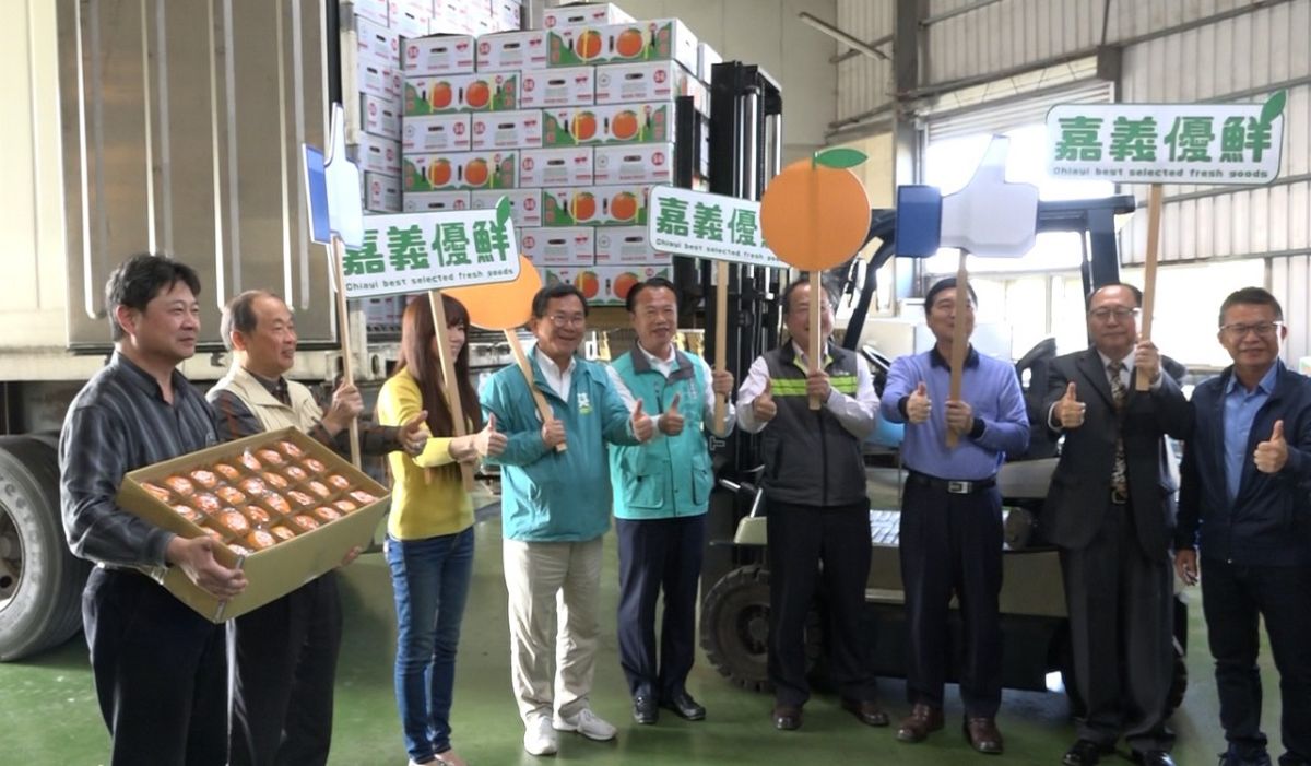 ▲農委會副主委黃金城、嘉義縣長翁章梁及立委陳明文等人為柑橘外銷開記者會。（圖／記者陳惲朋翻攝)