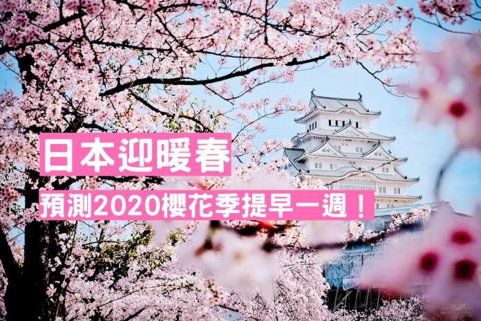 暖春發威！日本預期2020櫻花季提早一週　東京319開花

