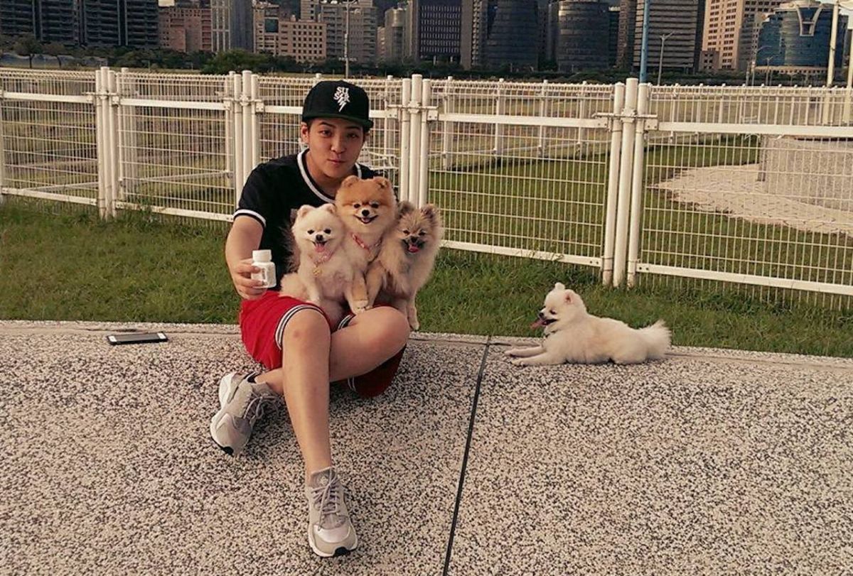 ▲戴安娜平常就有在關心動保議題。（圖／翻攝臉書）