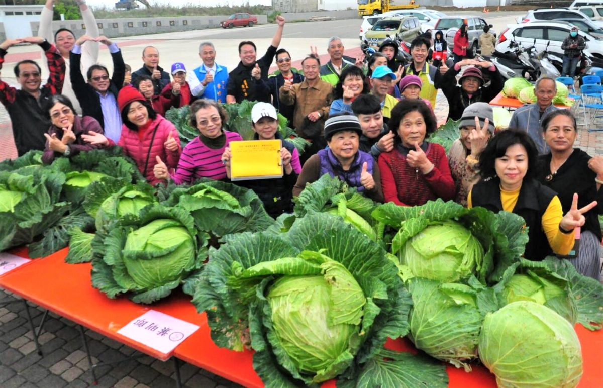 ▲第4屆澎湖特有種高麗菜王比賽，由烏崁社區理事長黃健忠主持，結果葉春伸獲得最大及最重雙料冠軍。（圖／記者張塵攝，2020.01.12）