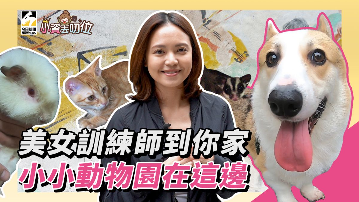 小資去叨位EP3／美女訓練師到你家，小小動物園簡介。▲（圖／影像中心製作）