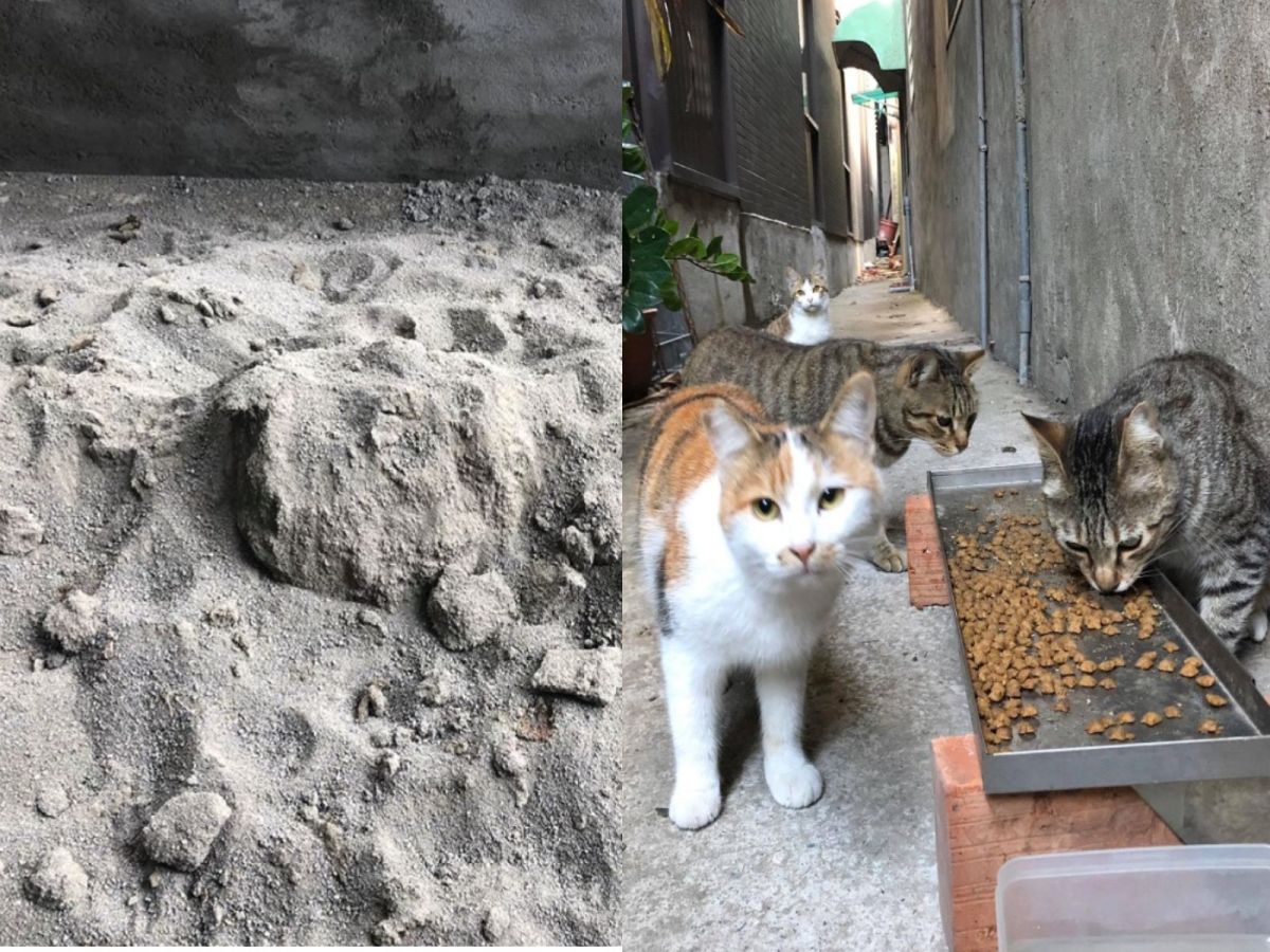 網友姜小姐娘家整修要用的砂土被浪貓當成巨大公廁使用（圖／網友姜婷婷授權提供）