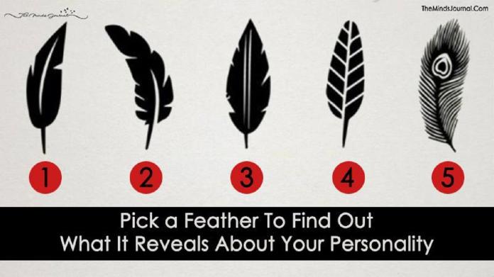 準到怕！直覺選出最愛的羽毛　答案測出「真實性格」
