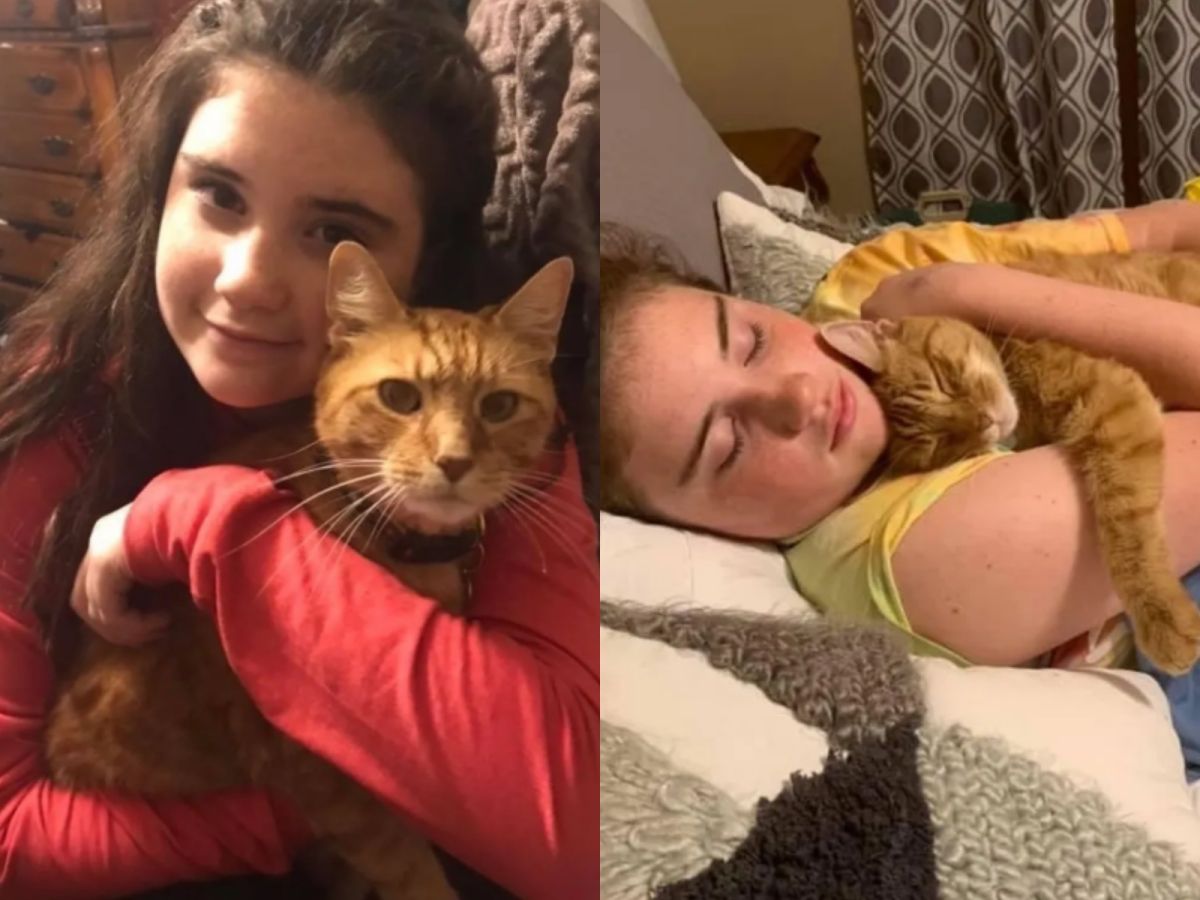 費迪南愛撒嬌的可愛個性，讓蒂芬妮和丈夫遲遲忘不了，還是回收容中心將牠帶回家！（圖／Tiffany McClure）