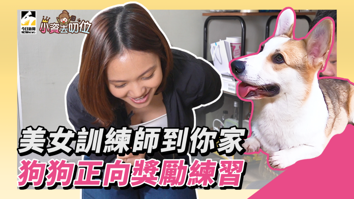 【小資去叨位EP３】美女訓練師到你家　狗狗正向獎勵練習
