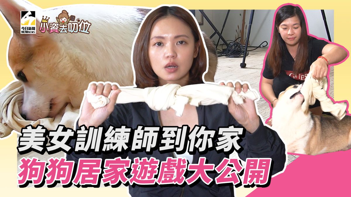 小資去叨位第三集/美女訓練師到你家，狗狗居家遊戲大公開。▲（圖／影像中心製作）