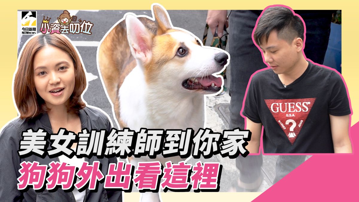 小資去叨位EP3／美女訓練師到你家，狗狗外出看這裡。▲（圖／影像中心製作）