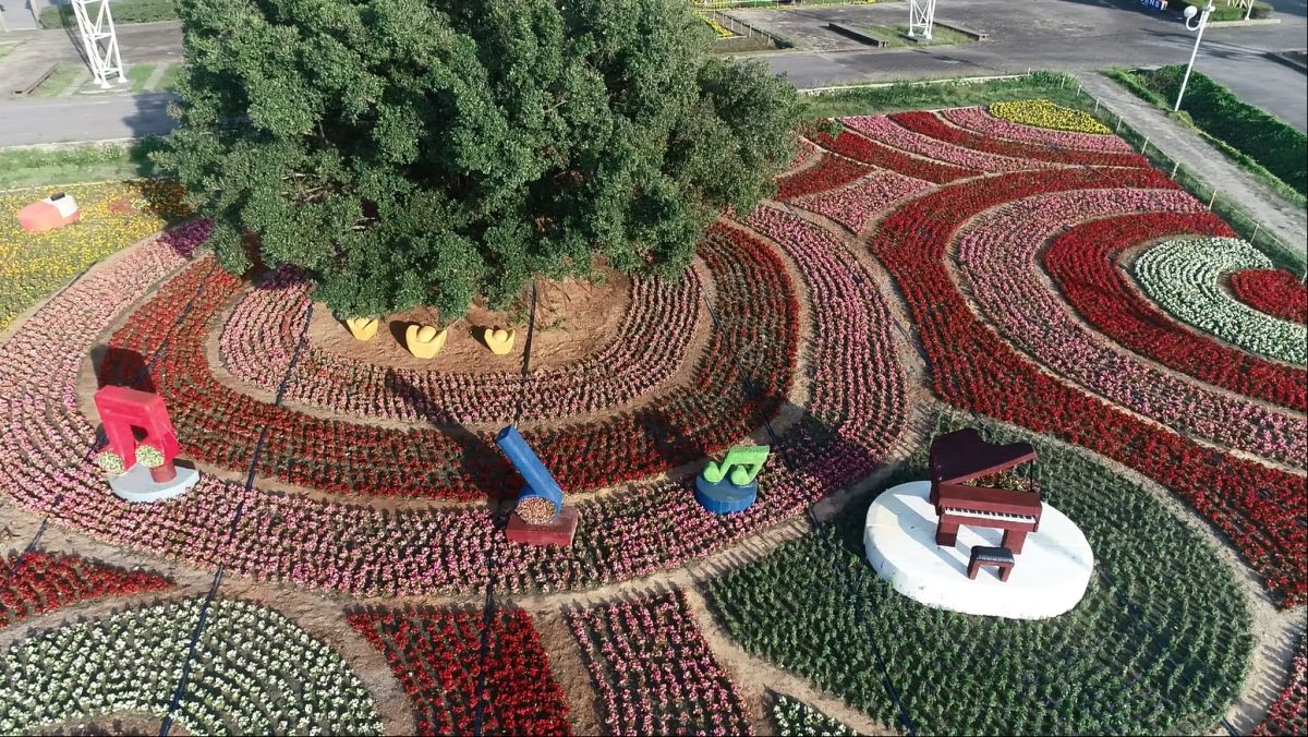 ▲「2020花在彰化」活動將於1月25日到2月9日一連16天的新春期間，在溪州公園盛大舉辦。（圖／記者陳雅芳攝）