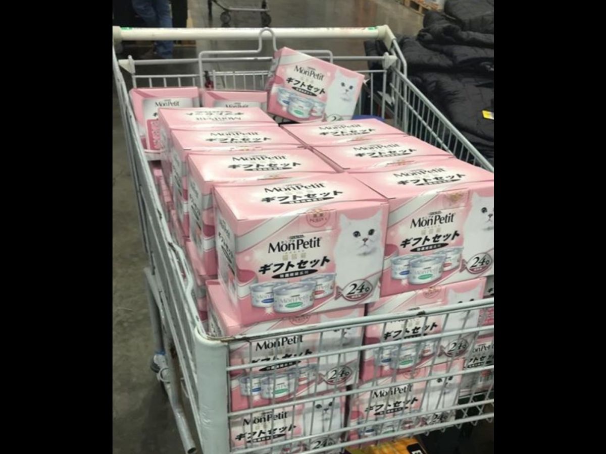 好市多特價貓罐引發貓奴瘋搶。（圖／網友白日夢提供）