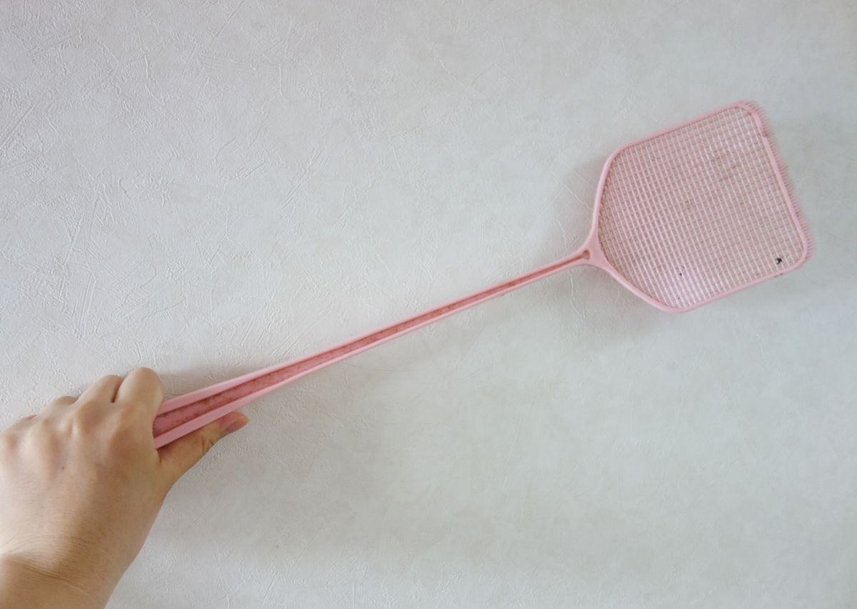 ▲防蟑螂方法不只有杜絕食物。（示意圖／取自 photoAC ）