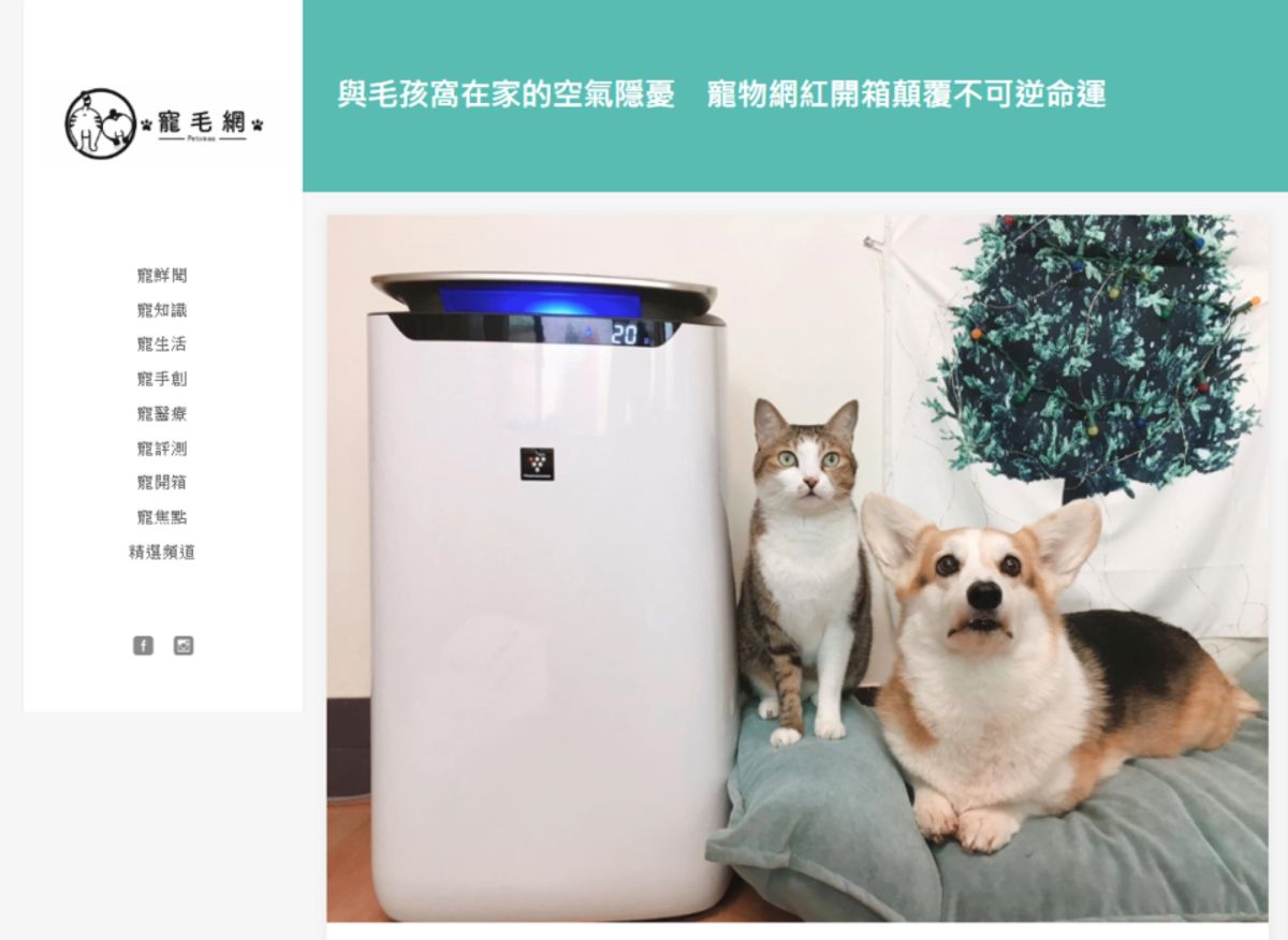 ▲知名寵物網紅的一篇開箱文中，發現終結毛孩噴嚏有效方式。（圖／翻攝寵毛網）