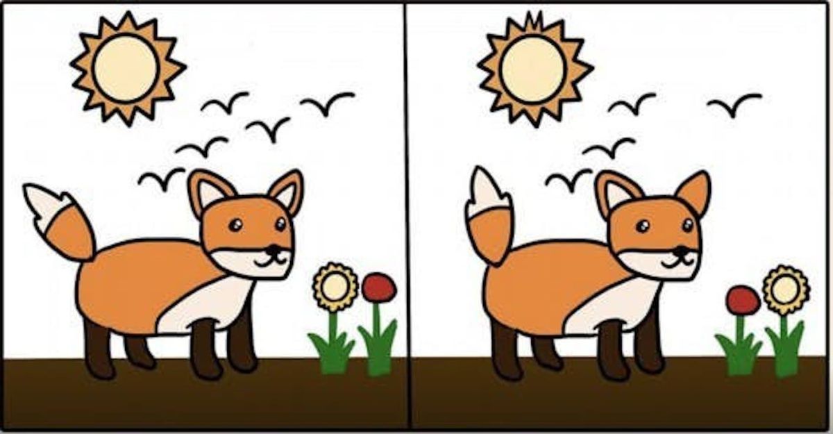 ▲集中精神找出第一個不同之處，以第一眼看到的為主，接著就可以從分析結果得知，你是什麼樣類型的個性。（圖／翻攝自 all.about.20s ）