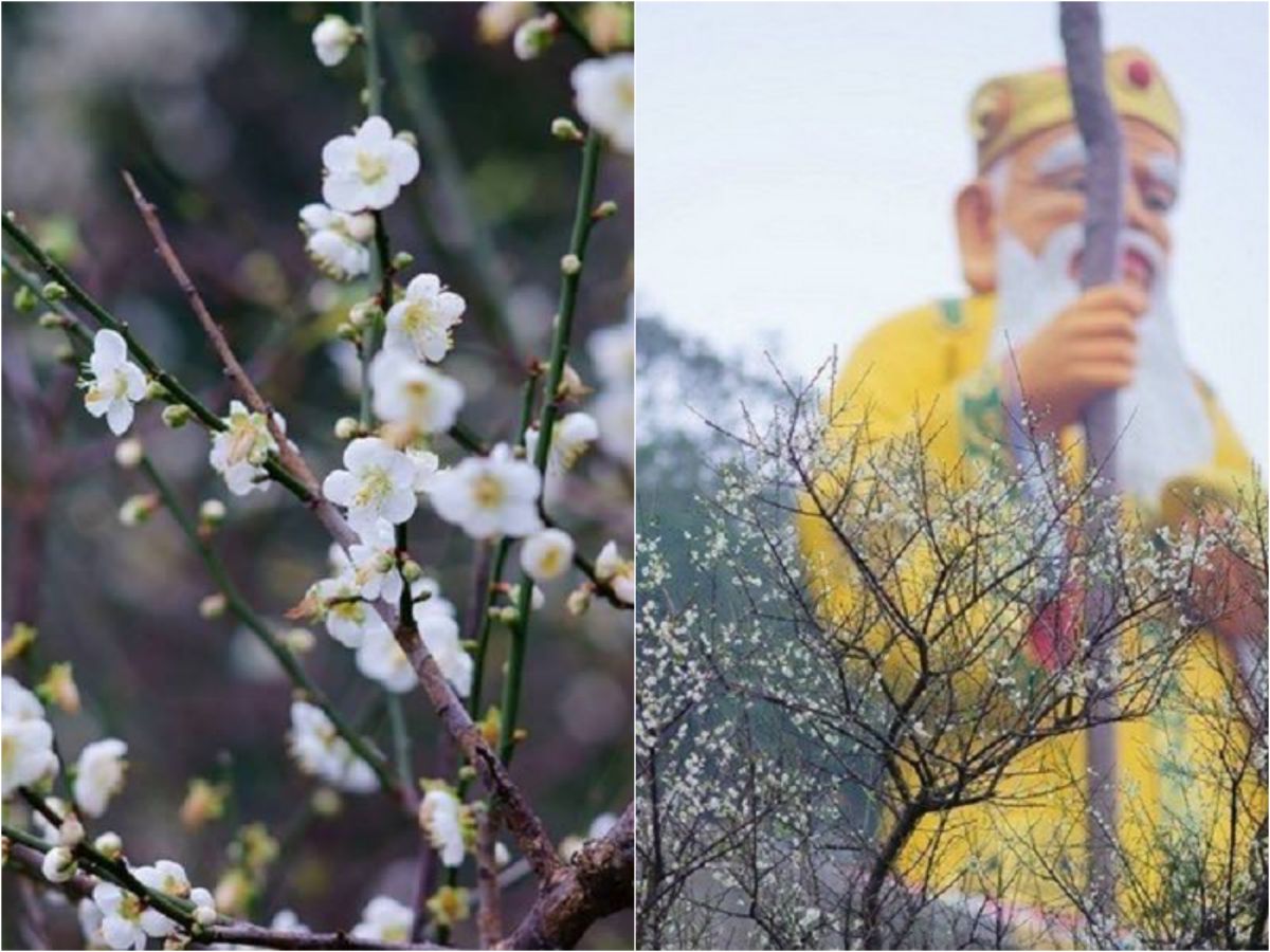 ▲農曆春節除了享受除夕年夜飯之外，也要把握假期，出門走春。（圖／新北市政府）