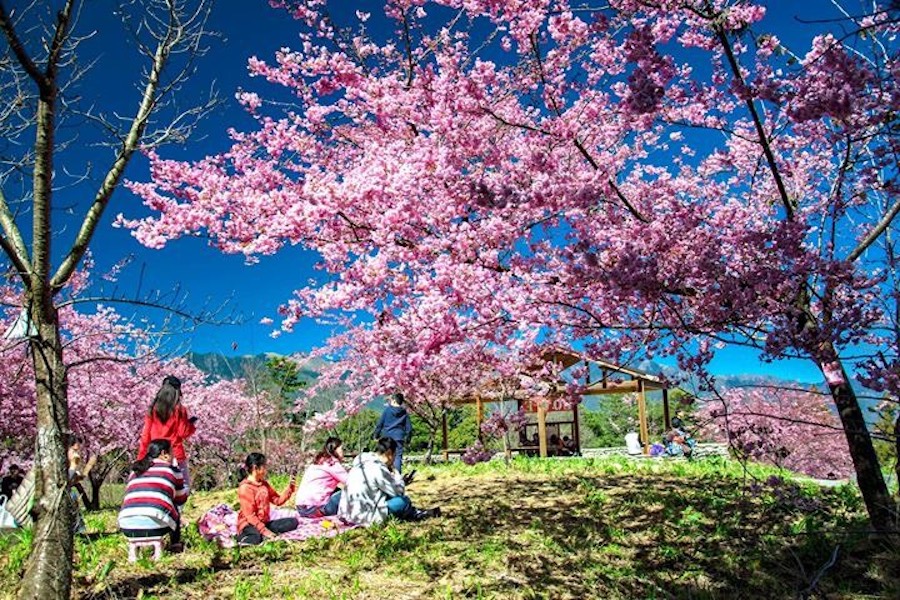 ▲參山國家風景區，建構舒適安全及友善便利的旅遊環境，親近大自然，可以強健身體、增強免疫力。 (圖／參山國家風景區提供2020.1.31)