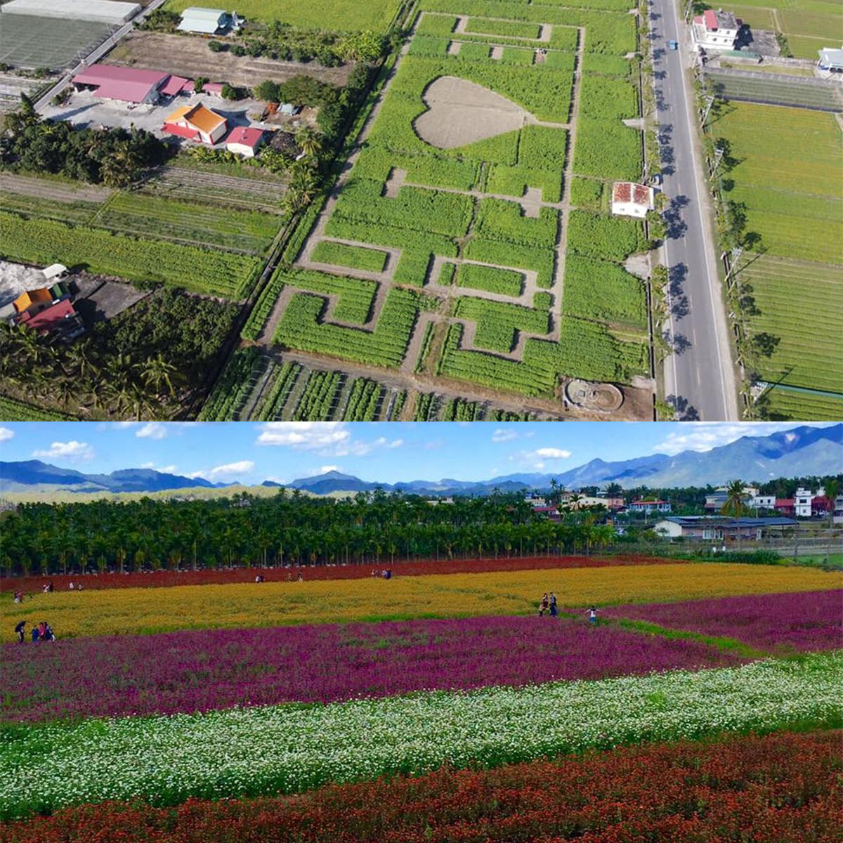 ▲位於北高雄的杉林區，與鄰近的美濃區一樣都是富含客家文化地區。（圖／翻攝自高雄市杉林區公所臉書粉絲專頁）