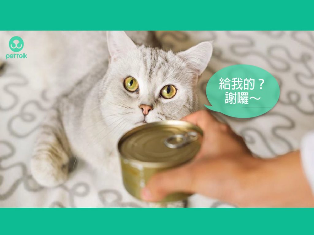 (圖／PetTalk提供)