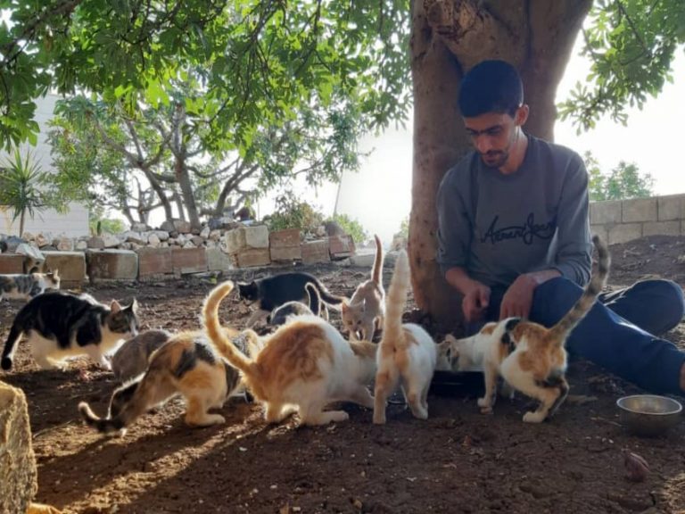 敘利亞一位記者留守家園，為那些被遺留下來的貓咪找尋食物（圖／BBC News）