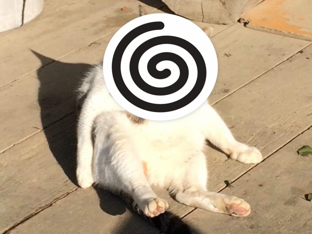 日本一位推主意外拍到貓咪舔腳的崩壞照片（圖／twitter@dynamic_ninjya）