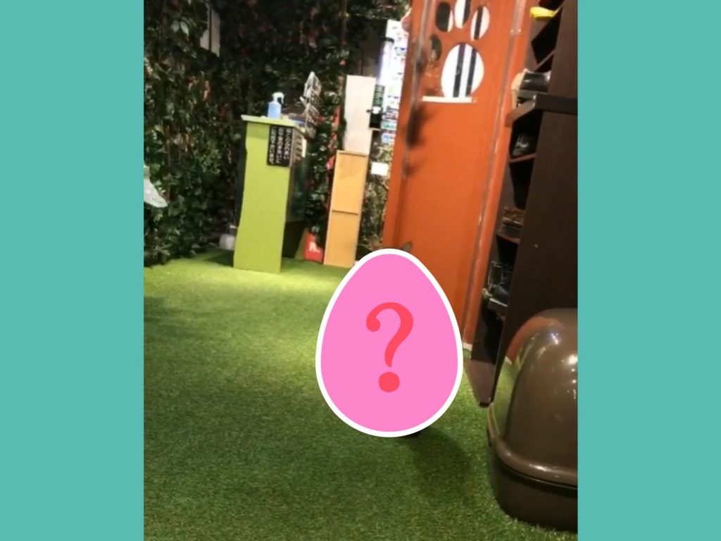 附近都沒人，終於可以用站的惹～（圖／IG@yukinko.xoxo） 