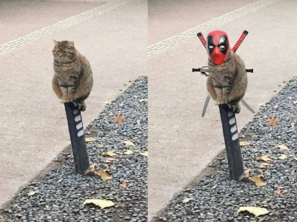 一隻坐在路燈上的喵星人，被網友PS成各種漫畫英雄人物！（圖／FB@9GAG Cute）