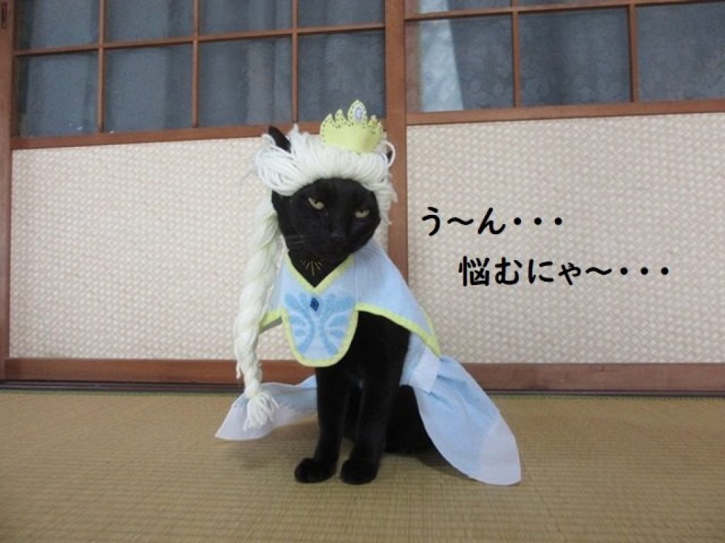 巧克力：Let it go～吼伊去～（圖／twitter@kigurumicyokor1）