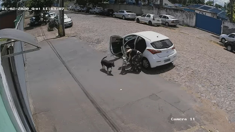 監視器錄下女子拋下2條腿白狗　轉身將健全黑狗塞上車加速駛離！