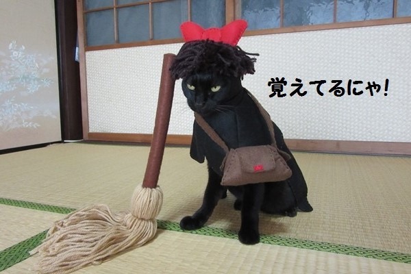 巧手主人幫愛喵角色扮演　只是黑貓的表情有點無奈啊！