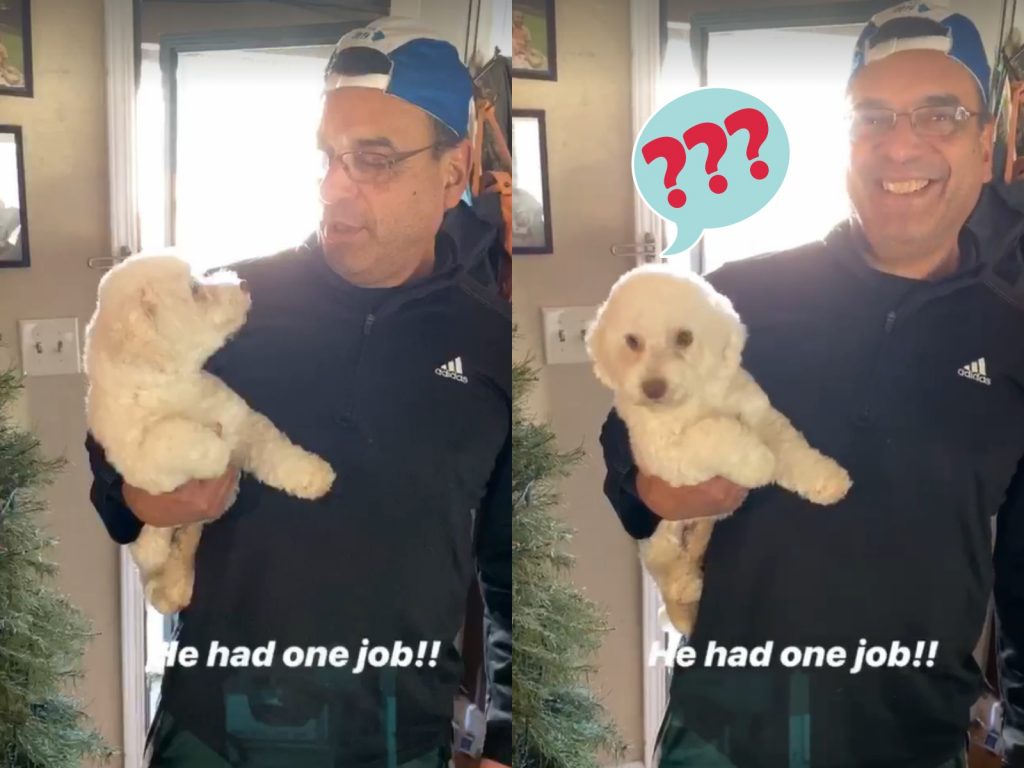 （狗狗問號）這裡跟偶家長得不太一樣耶？ 魯迪：啊不是都白的？ （圖／Facebook@CoCo Salazar） 