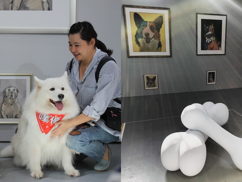 毛小孩專屬展覽　狗狗GoGoGo把華山變機場　讓狗狗「出國玩」！