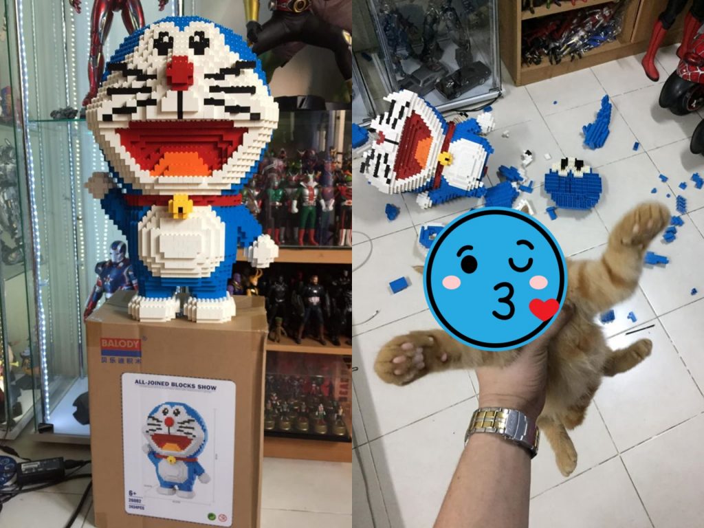 一秒就被摧毀的公仔與毫無悔意的橘貓。（圖／Facebook@ภูมิมัย พรทอง） 