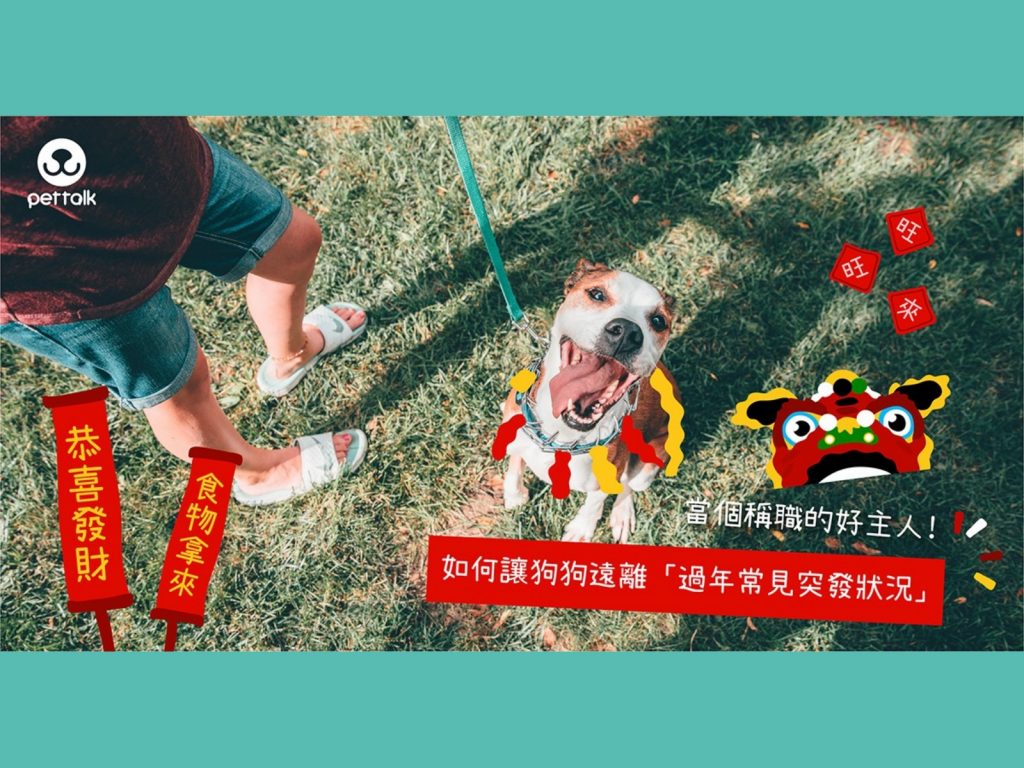 （圖／PetTalk提供）