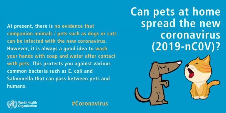 WHO世界衛生組織表示，目前尚無任何證據顯示寵物會散播新型冠狀病毒。（圖／FB@WHO）