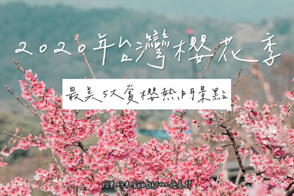 【2020櫻花季】最新北台灣5大最美賞櫻景點&交通路線　不輸武陵農場櫻花！
