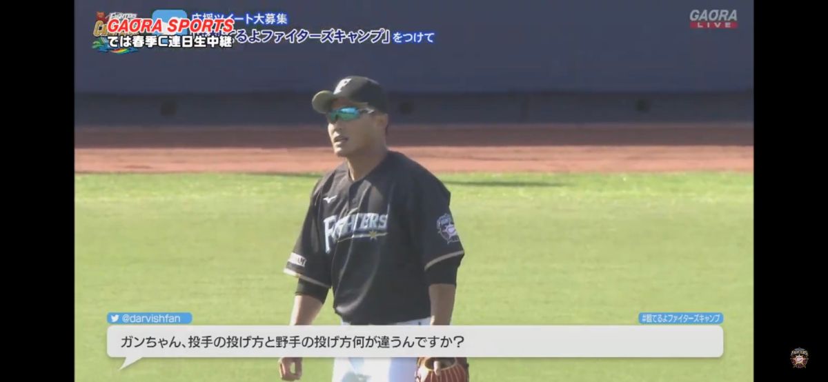 火腿隊開訓，王柏融穿上3號球衣。（圖／取自網路）