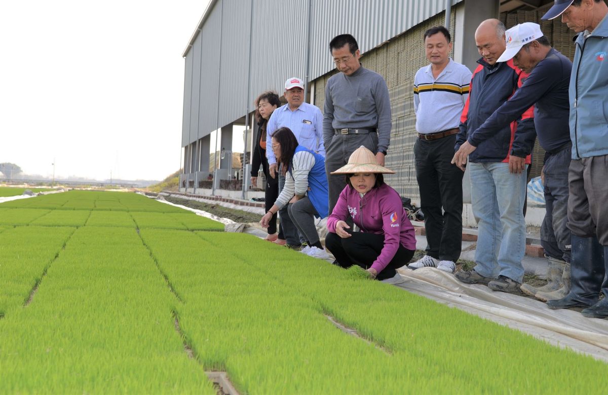 ▲張縣長在農業相關人員陪同下赴大埤地區探視水稻育苗農民的防寒措施。（圖／記者蘇榮泉攝，2020.02.01）