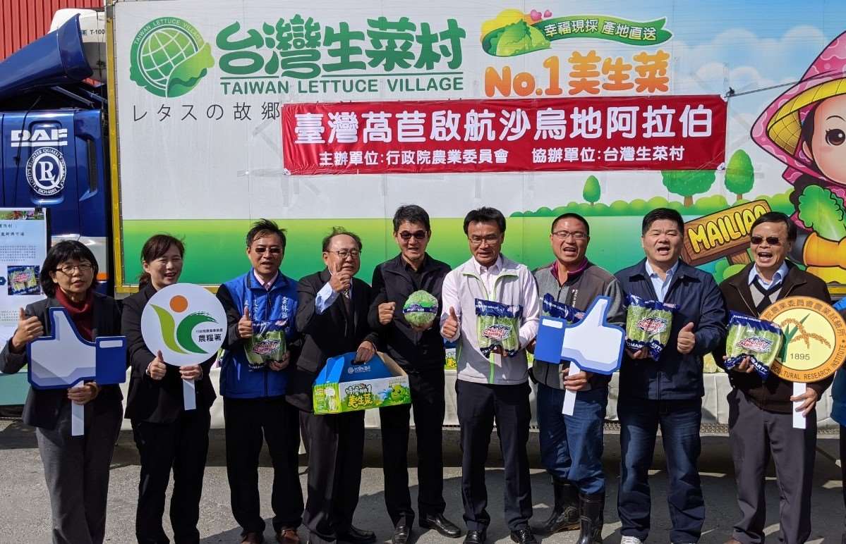 ▲臺灣萵苣(美生菜)啟航外銷至沙烏地阿拉伯，為台灣優質農產品成功拓展亞洲以外的新興市場。（圖／記者蘇榮泉攝，2020.02.05）
