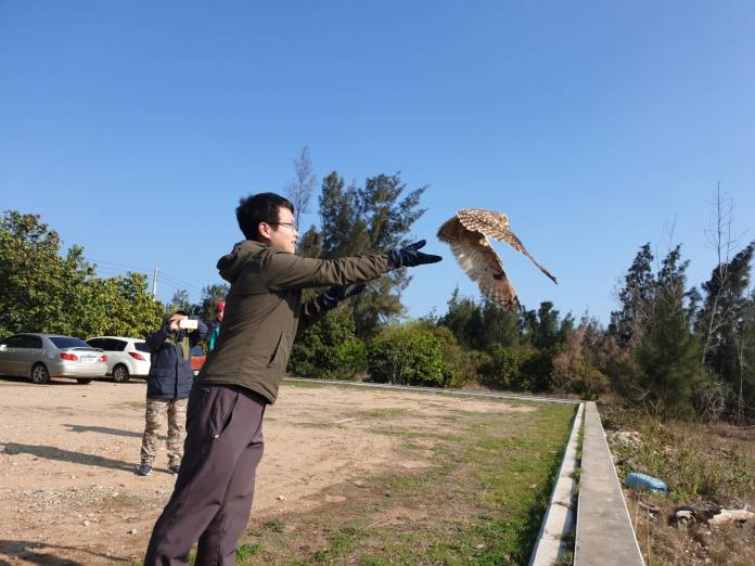 ▲二級保育類猛禽短耳鴞傷後復原，將其野放回歸自然。（圖／蔡若喬攝, 2020.02.05）