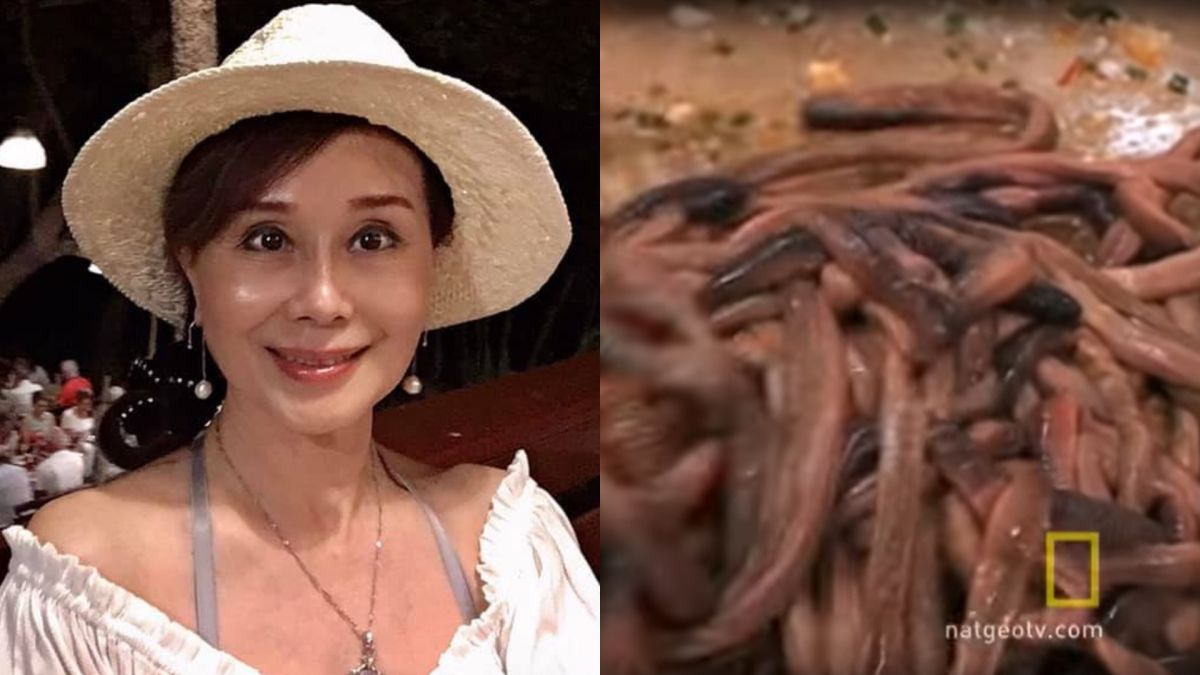 ▲張琍敏對武漢肺炎發表看法，沒想到，再度引發失言質疑。（圖／臉書、YouTube）