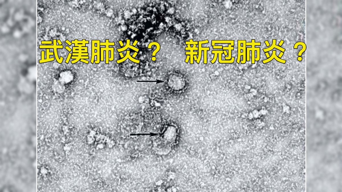 ▲（圖／翻攝自《富士新聞網》）