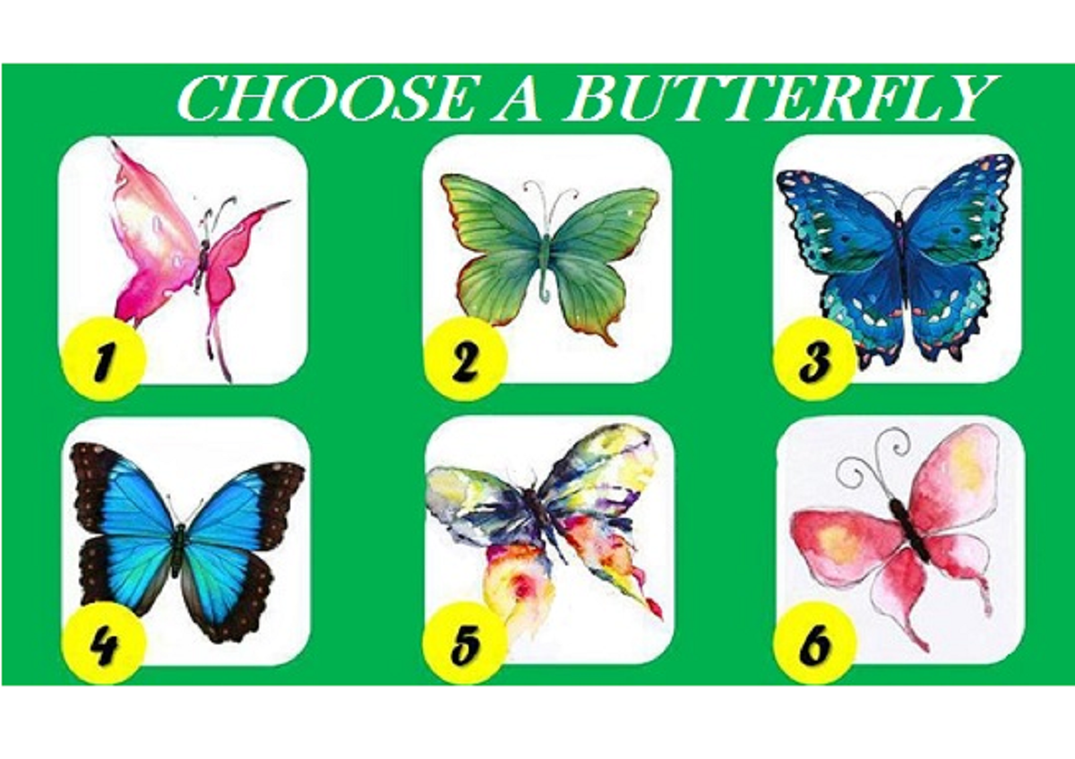 ▲選一隻你最喜歡的蝴蝶？測出你的「潛在性格」。（圖／翻攝自Evolve Me ）