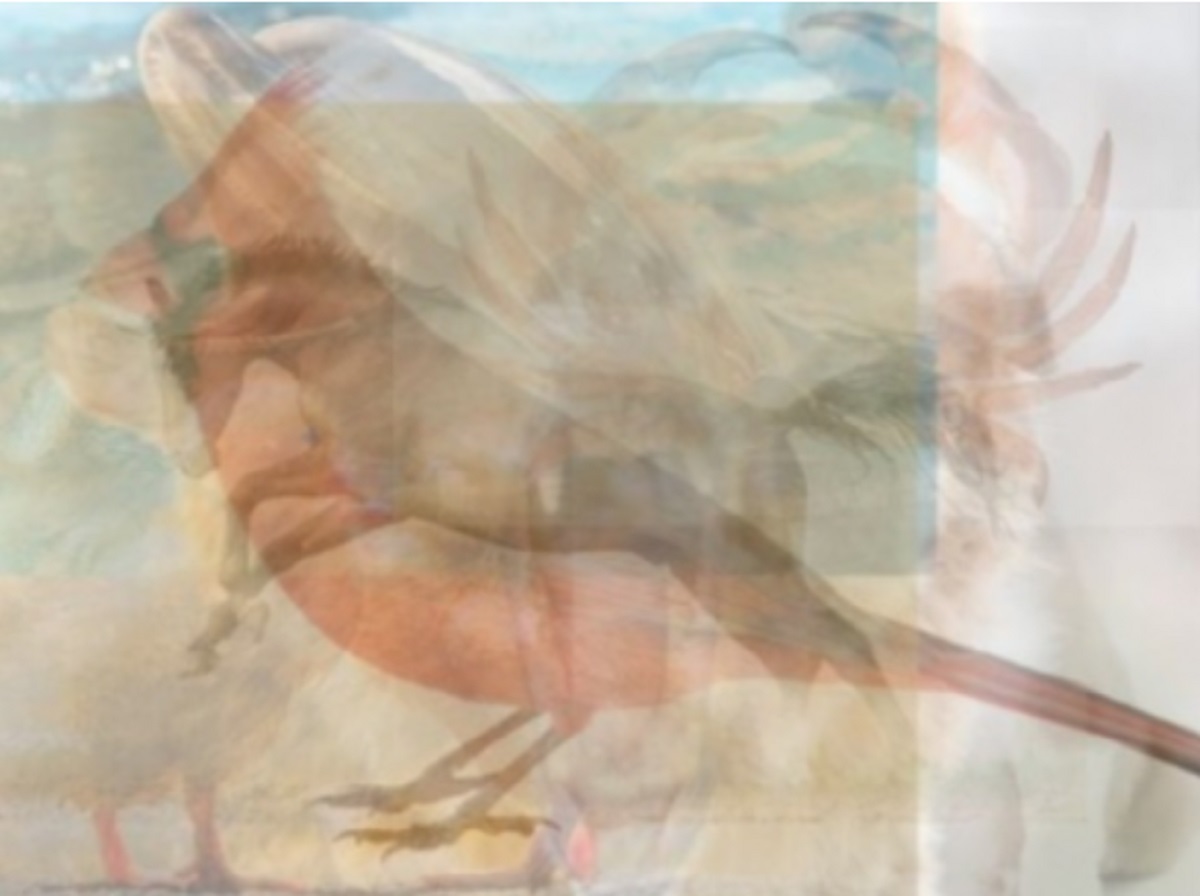 ▲第一眼看到啥動物？揭露你的「隱藏個性」。（圖／翻攝自VIDAORANGE）